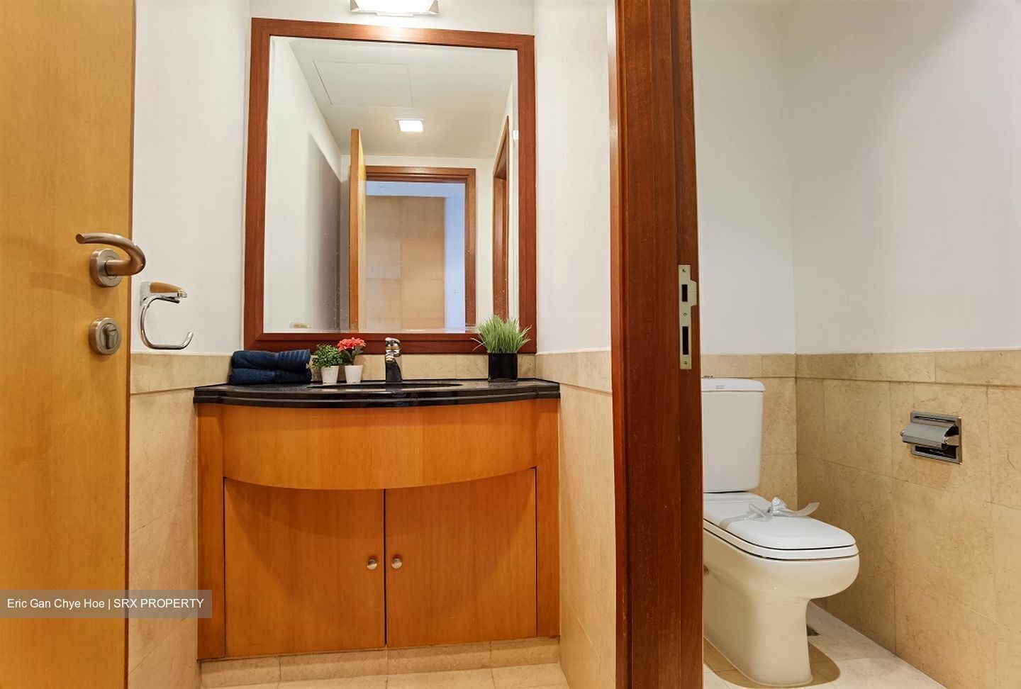 Orchard Scotts (D9), Condominium #398200841